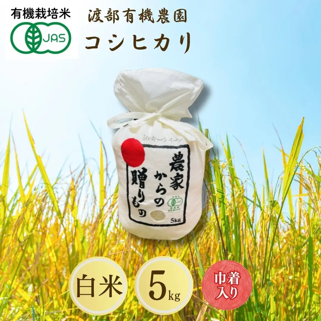 JAS有機米 コシヒカリ 白米 5kg キンチャク入り | 令和7年産 渡部有機農園