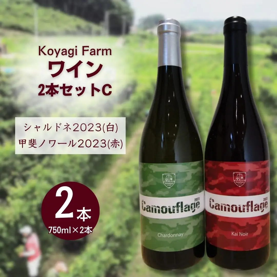 ワイン 2本セット ブラック・クィーン×マスカット・ベリーA / シャルドネ
