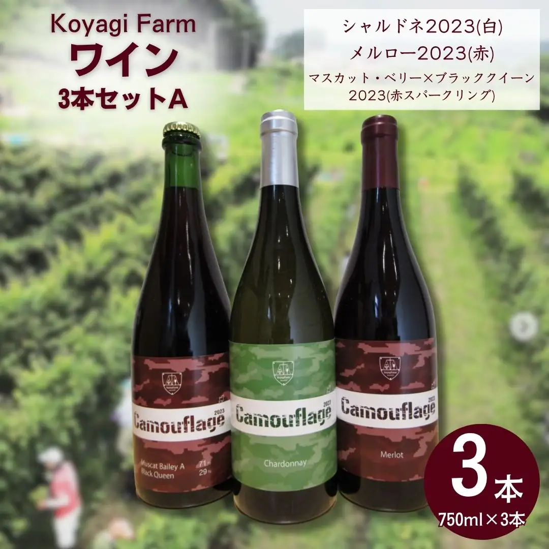 ワイン 3本セット シャルドネ / メルロー / マスカット・ベリー×ブラッククイーン