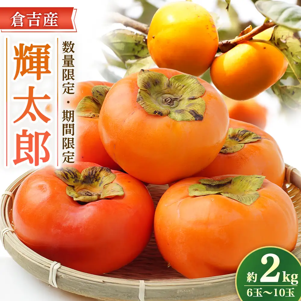 【期間限定】令和8年産 輝太郎 2kg 6玉～10玉（柿） フルーツ 先行予約 柿 倉吉産 ブランド柿 果物 数量限定
