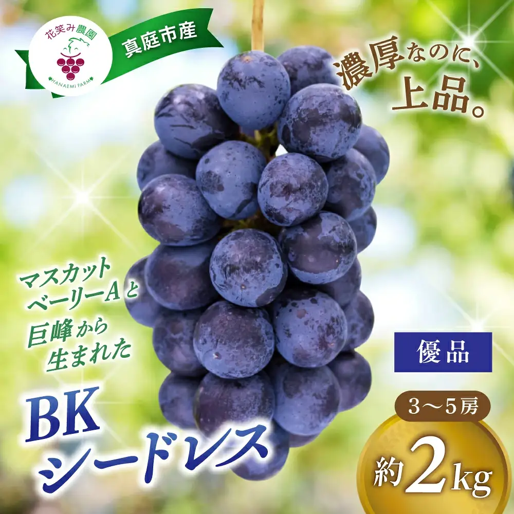 【2026年先行予約】花笑み農園の『BKシードレス』優品　2kg（3～5房） 岡山 贈答用 ぶどう 【hana082-01】