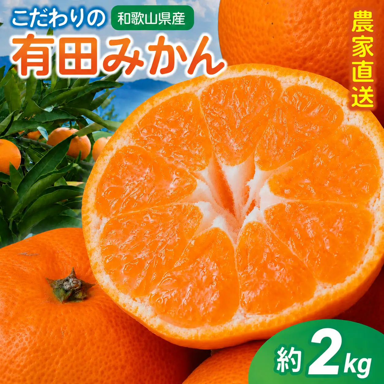 【訳あり・ご家庭用】有田みかん 約2kg みかん【2027年1月中に順次発送予定】北海道・沖縄県・離島配送不可  【CE-nuk159C-01】