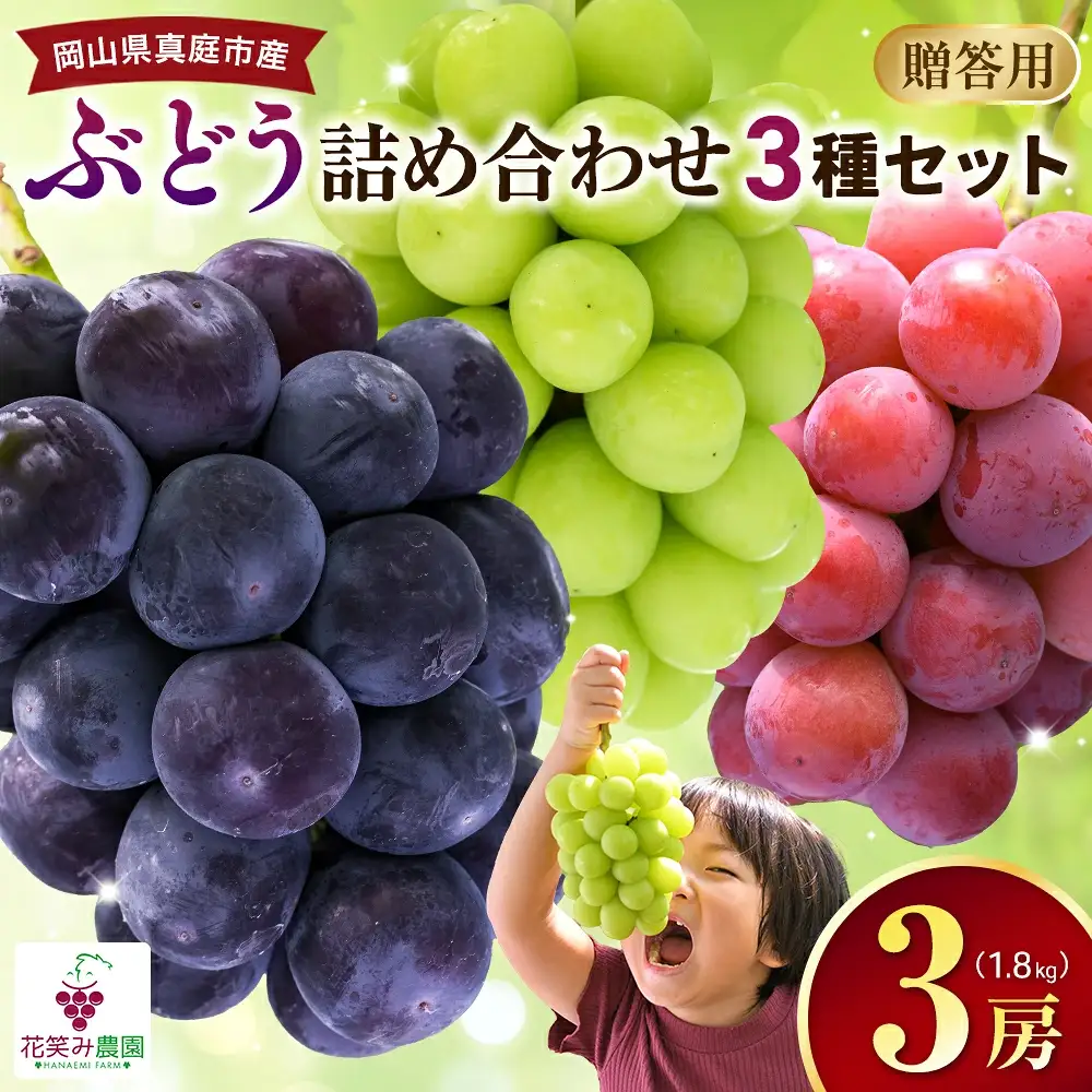 【2026年の先行予約】 花笑み農園 ぶどう『彩り３種セット』贈答用（1.8kg） 岡山 詰め合わせ 食べ比べ 真庭市 【hana084-01】