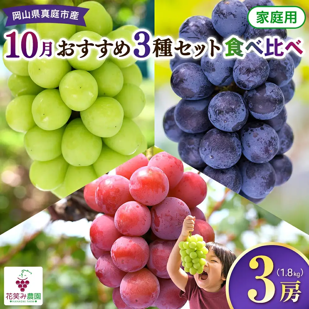 【2026年の先行予約】花笑み農園 10月おすすめ『ぶどう３種』家庭用（1.8kg） 岡山 詰め合わせ 食べ比べ 真庭市 【hana086-01】