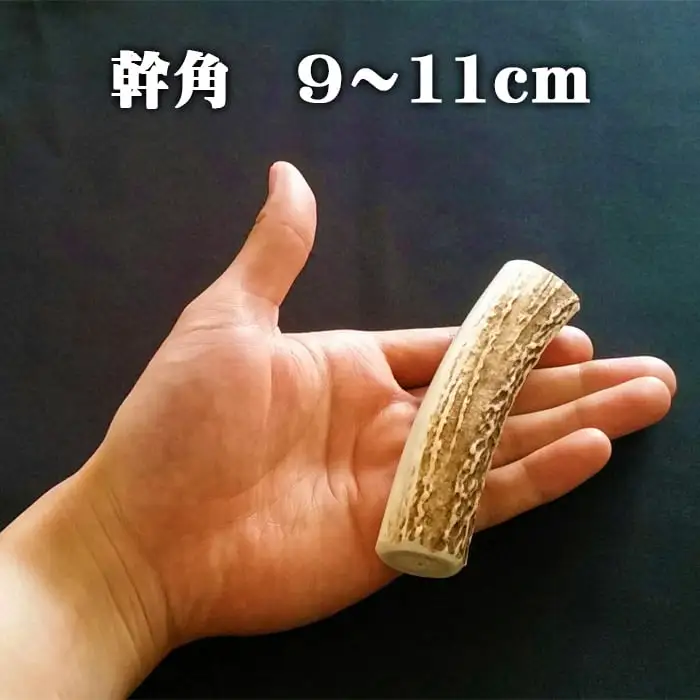 えぞ鹿カット角【約10cm×3本】※トリーツ_I020-0434