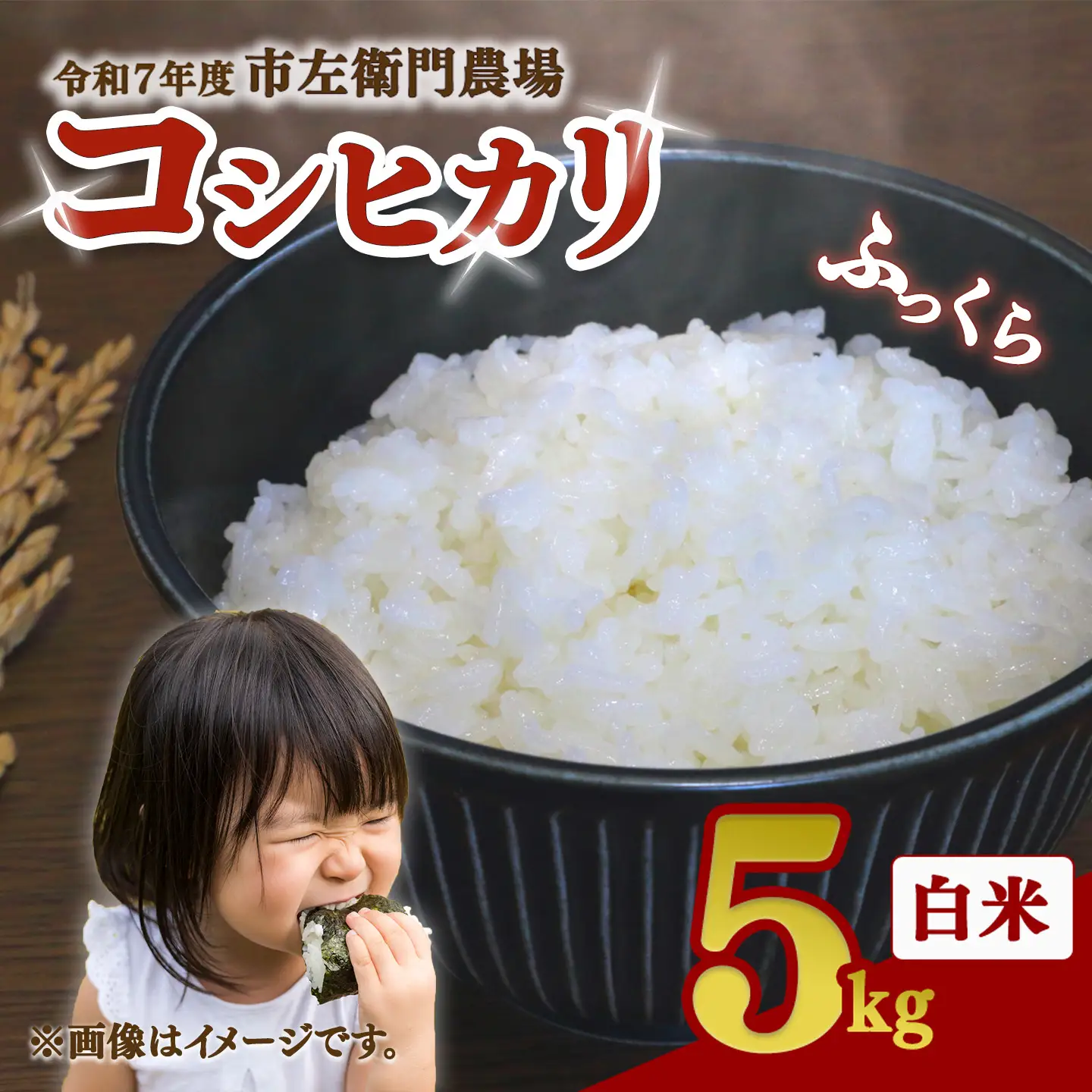 米 令和7年産 コシヒカリ5kg 精米 こしひかり