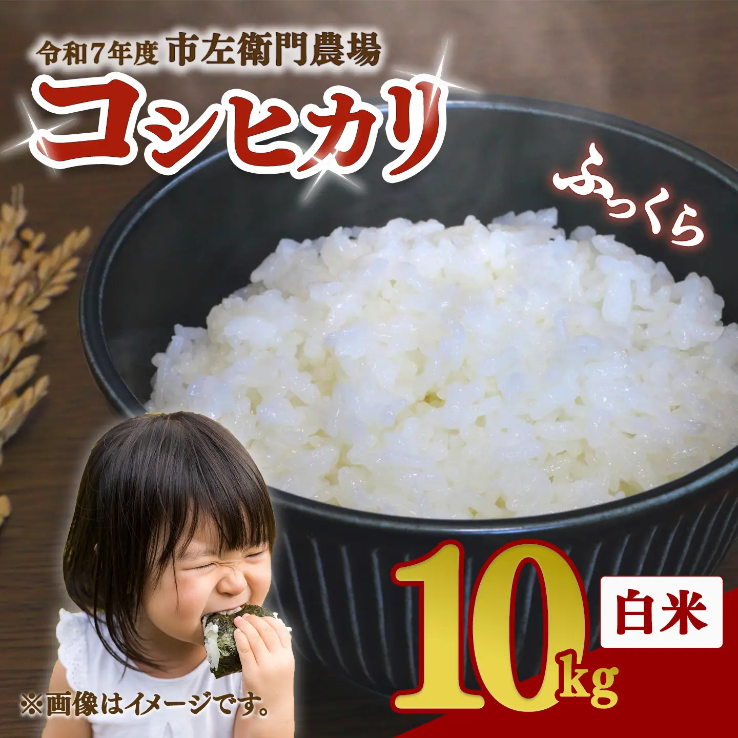 米 令和7年産 コシヒカリ10kg 精米 こしひかり