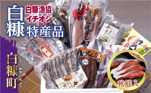 白糠漁協イチオシ白糠特産品セット 秋鮭入 ほっけ かれい 本ししゃも こまい 秋鮭 たこ さんま ギフト 熨斗 ふるさと納税  北海道 白糠町_I028-1821