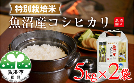 令和8年産 【新潟県認証】森山農園特別栽培米魚沼産コシヒカリ（精米）10kg（5kg×2）