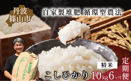 【令和7年産】米 定期便 丹波篠山産コシヒカリ〈 精米 10kg × 6回 〉計60kg 米 定期便 [SUBSC-DP12]