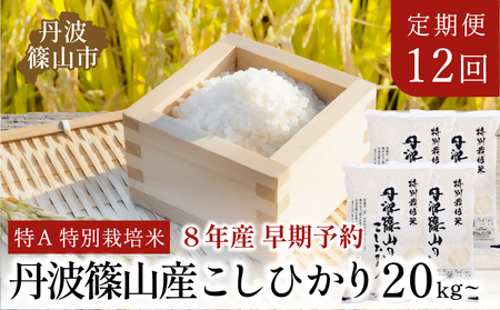 コシヒカリ〈12回定期便〉コシヒカリ〈R8年新米予約〉特A 特別栽培米 コシヒカリ 精米 20kg 定期便