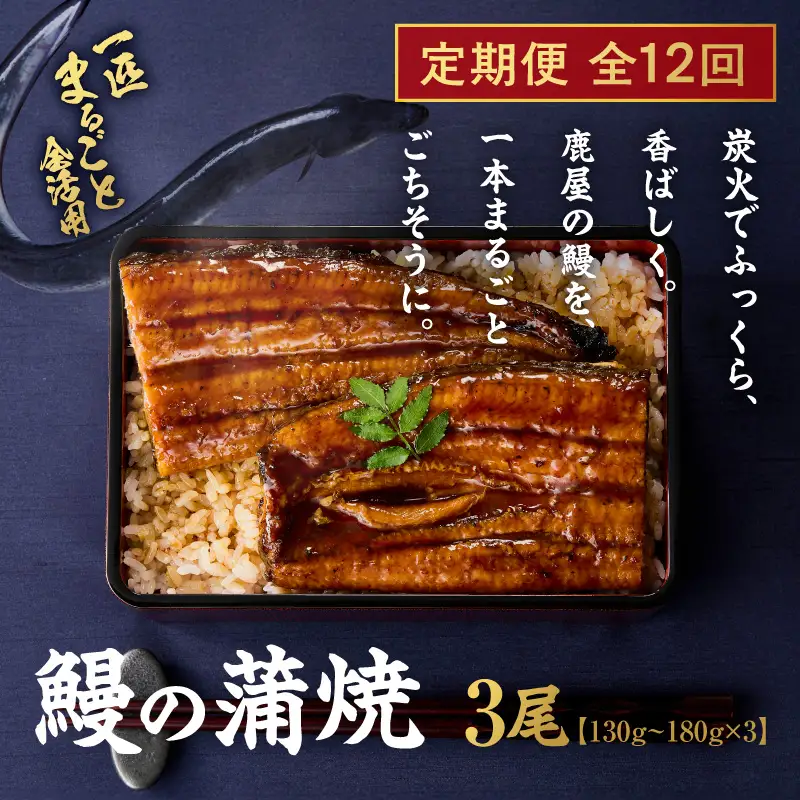 【 全12回 定期便 】 鰻 の 蒲焼 3尾（130g～180g×3） KN026-T07 うなぎ 惣菜 総菜 魚