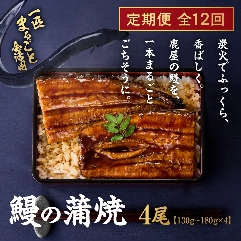 【 全12回 定期便 】 鰻 の 蒲焼 4尾（130g～180g×4） KN026-T08 うなぎ 惣菜 総菜 魚