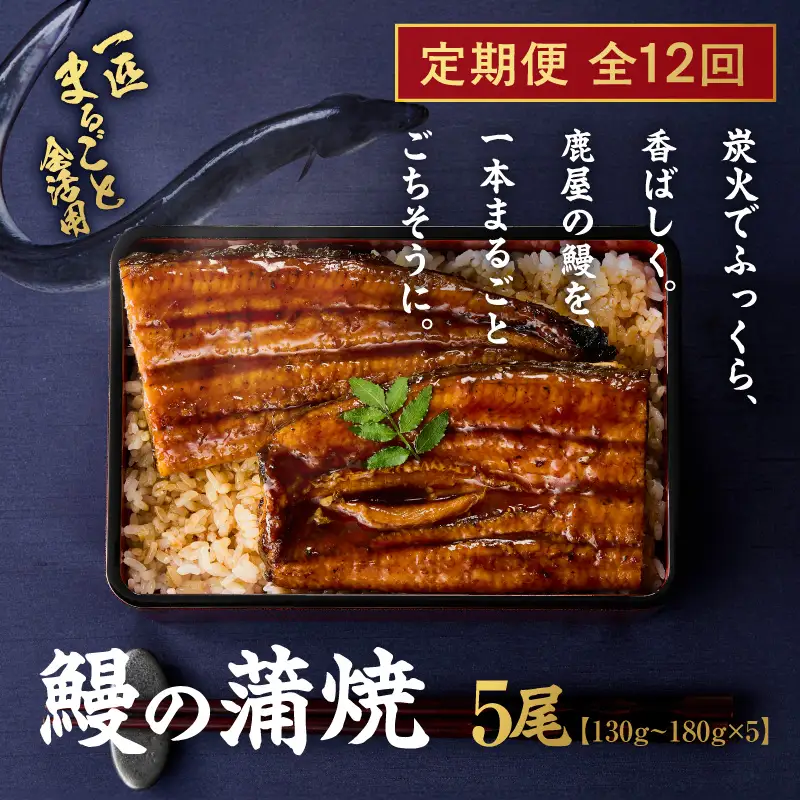 【 全12回 定期便 】 鰻 の 蒲焼 5尾（130g～180g×5） KN026-T09 うなぎ 惣菜 総菜 魚