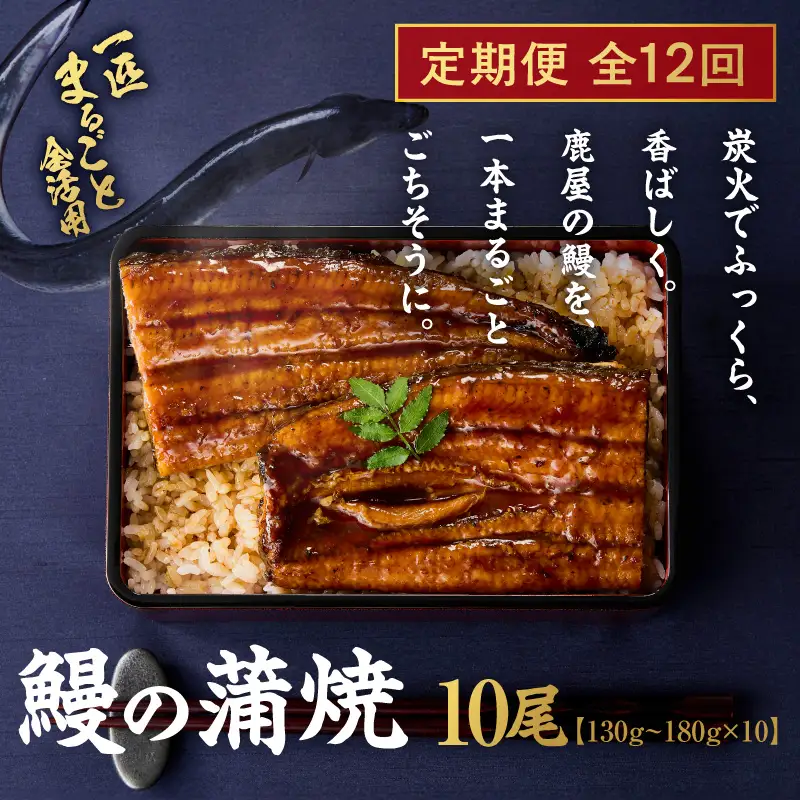 【 全12回 定期便 】 鰻 の 蒲焼 10尾（130g～180g×10） KN026-T11 うなぎ 惣菜 総菜 魚