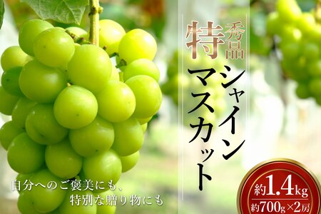 【期間限定】【2026年発送】「特秀」シャインマスカット約1.4kg(約700g×2房)_H246(R8)-2