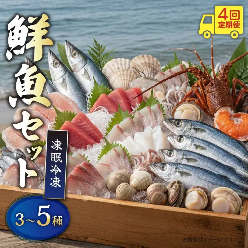 【 鮮魚 】 鮮魚 セット 4回 定期便 3種～5種