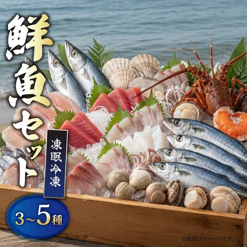 【 鮮魚 】 鮮魚 セット 3種～5種