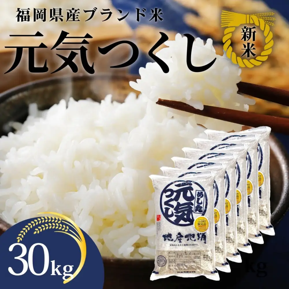 令和7年産 福岡県産米 元気つくし 合計30kg ( 5kg×6袋 )