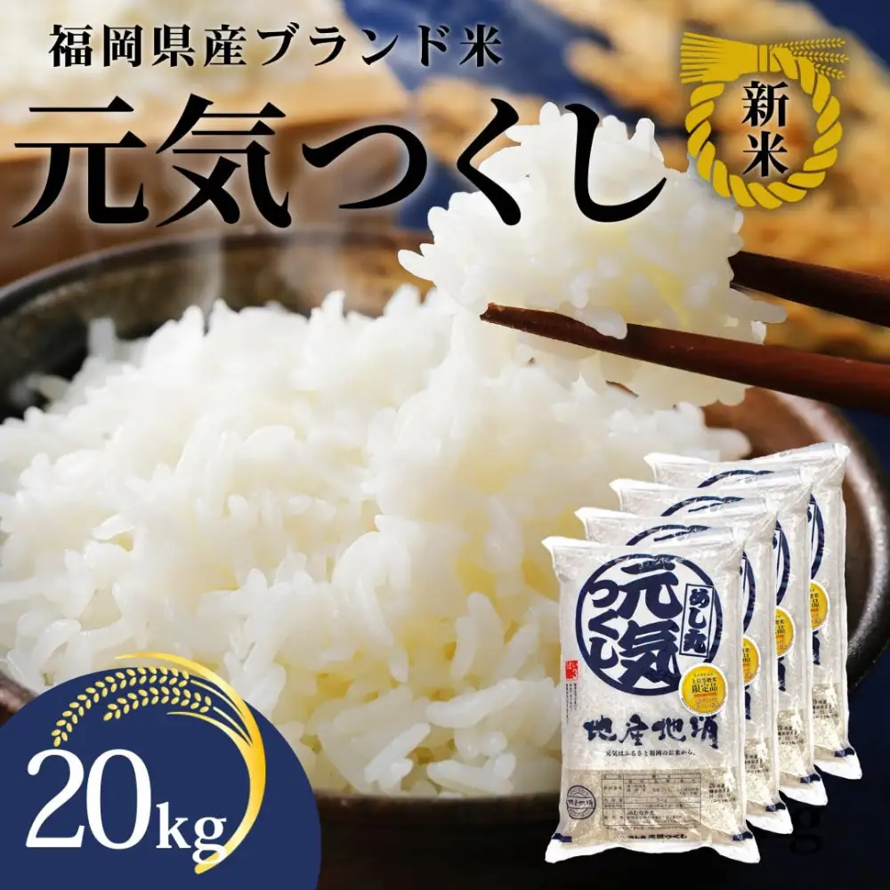 令和7年産 福岡県産米 元気つくし 合計20kg ( 5kg×4袋 )