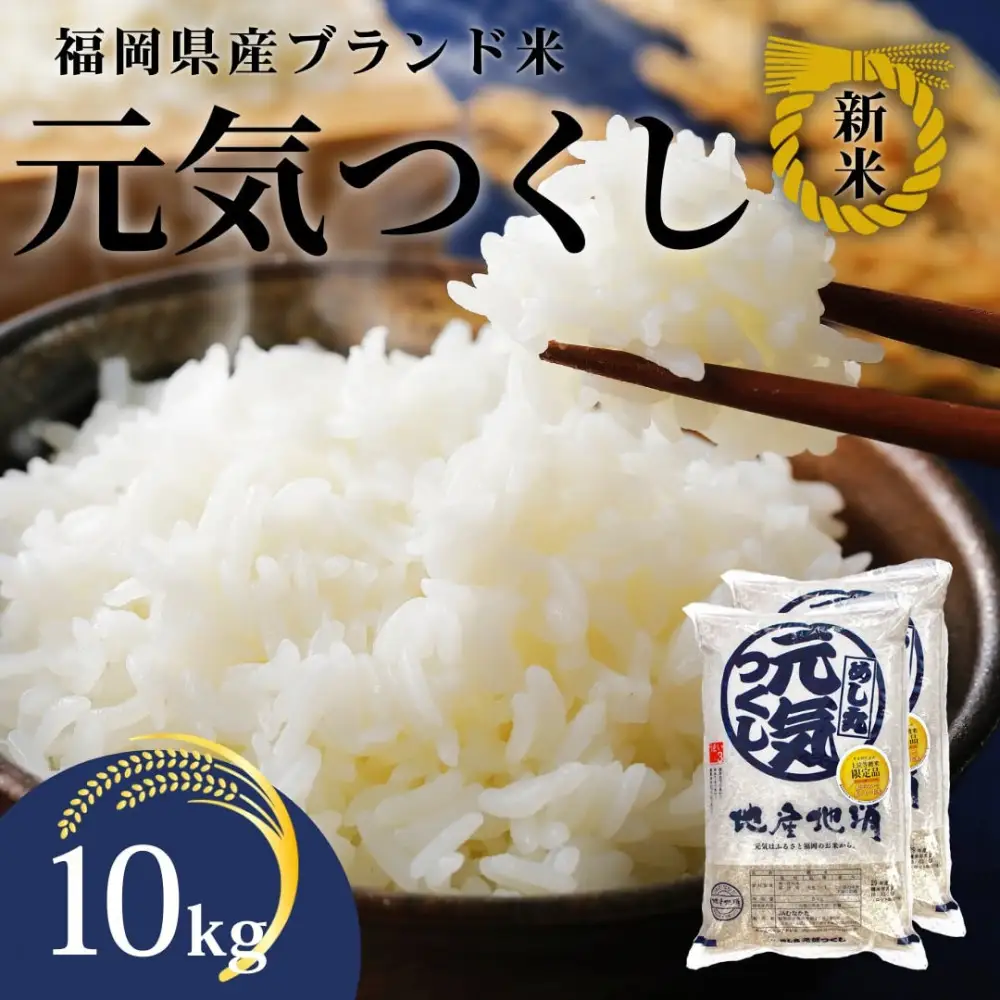 令和7年産 福岡県産米 元気つくし 合計10kg ( 5kg×2袋 )