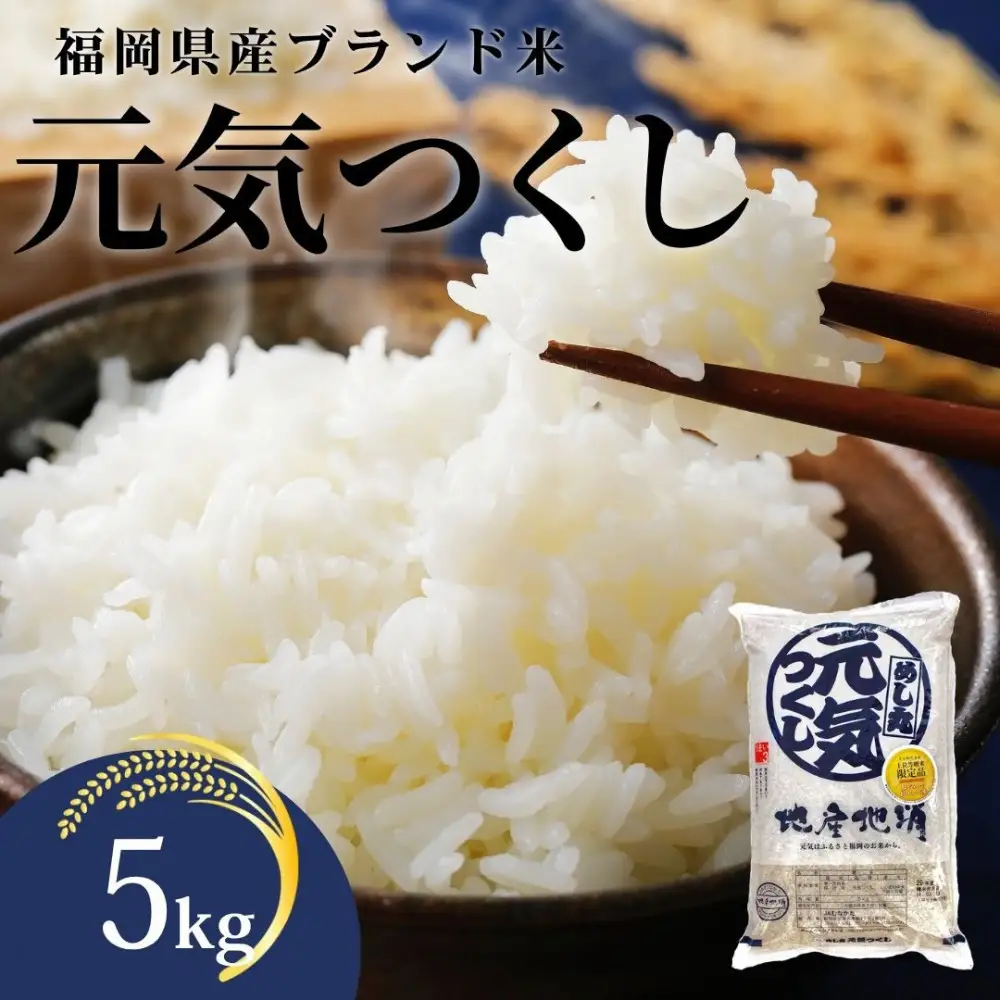 【化粧箱入り】令和7年産 福岡県産米 元気つくし 5kg ( 5kg×1袋 )