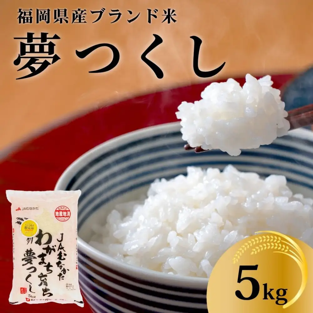 【化粧箱入り】令和7年産 福岡県産米 夢つくし 5kg ( 5kg×1袋 )