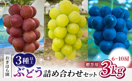 【2026年先行受付】農家直送！贈答用ぶどう詰め合わせセット ３kg（6〜10房）｜おぎはら園（シャインマスカット、種なし巨峰、ナガノパープル 、クイーンニーナ、クイーンルージュ®など）　※2026年9月中旬～10月上旬順次発送