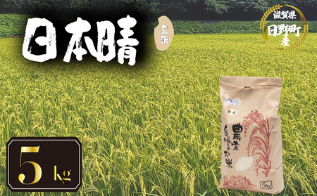 【 令和7年産 米 5kg 】 日本晴 米 白米