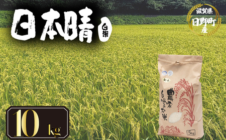 【 令和7年産 米 10kg 】 日本晴 米 白米