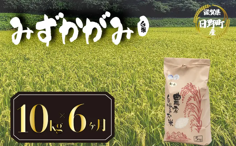 【先行予約】令和8年産 みずかがみ 10kg 定期便 6ヶ月 白米 米 