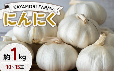 KAYAMORI FARMのにんにく 約1kg（10～15玉） F6U-375