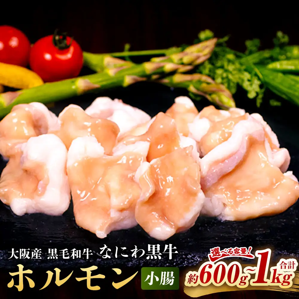 大阪産 和牛 なにわ黒牛 ホルモン （小腸） 約200g × 3パック 合計約600g 