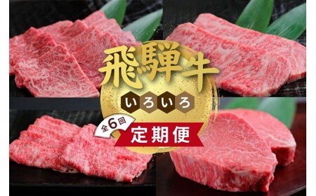 飛騨牛 いろいろ 定期便　毎月お届け全6回 食べ切り Aセット｜牛肉 セット 牛肉セット 限定 食べ比べ アソート 国産 和牛 ブランド牛 飛騨 牛肉ギフト 飛騨牛ギフト 飛騨牛赤身すきやき 牛肉赤身 飛騨牛しゃぶしゃぶ 赤身飛騨牛 飛騨牛 牛肉 すきやき しゃぶしゃぶ 赤身 飛騨牛赤身 飛騨牛すき焼き 飛騨牛スキヤキ 牛肉すきやき すき焼き すき焼き用※離島への配送不可