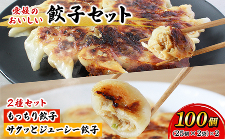 ＜愛媛のおいしい餃子セット 2種セット 合計100個(各種25個×2袋)＞ぎょうざ ギョーザ 餃子 国産 もっちり餃子 サクッとジューシー餃子 もっちり パリッ ジューシー 丸餃子 国産野菜 ブランド豚 鍋 浅野食品 愛媛県 西予市【冷凍】『1か月以内に順次出荷予定』OAH0004