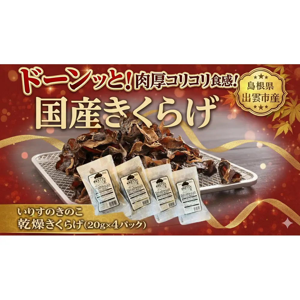 いりすのきのこ　乾燥きくらげ（20g×4パック）