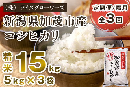 【令和8年産新米先行予約】【定期便3回隔月お届け】新潟県加茂市産コシヒカリ 精米15kg（5kg×3）《10月上旬～順次出荷》 白米 （株）ライスグローワーズ