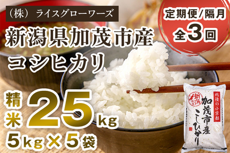 【令和8年産新米先行予約】【定期便3回隔月お届け】新潟県加茂市産コシヒカリ 精米25kg（5kg×5）《10月上旬～順次出荷》 白米 （株）ライスグローワーズ