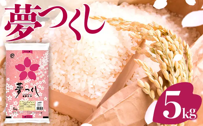 【定期便：３ケ月】令和７年産 福岡県産米 夢つくし 5kg 精米 CY008sub3