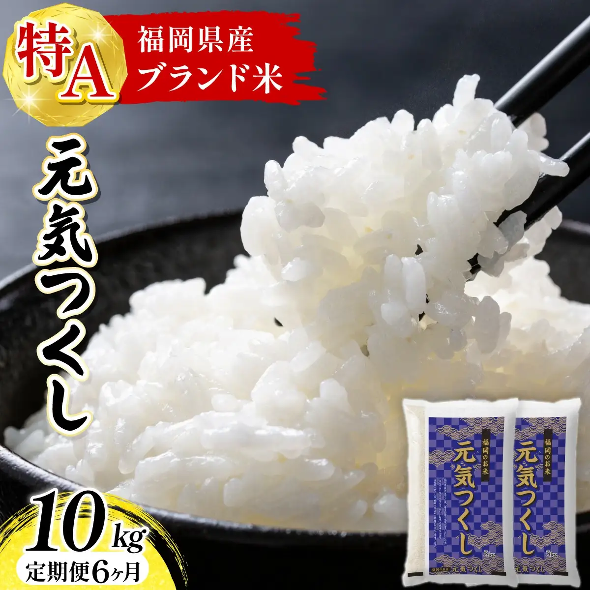【定期便：６ケ月】令和７年産 福岡県産米 元気つくし 10kg 精米 CY012sub6