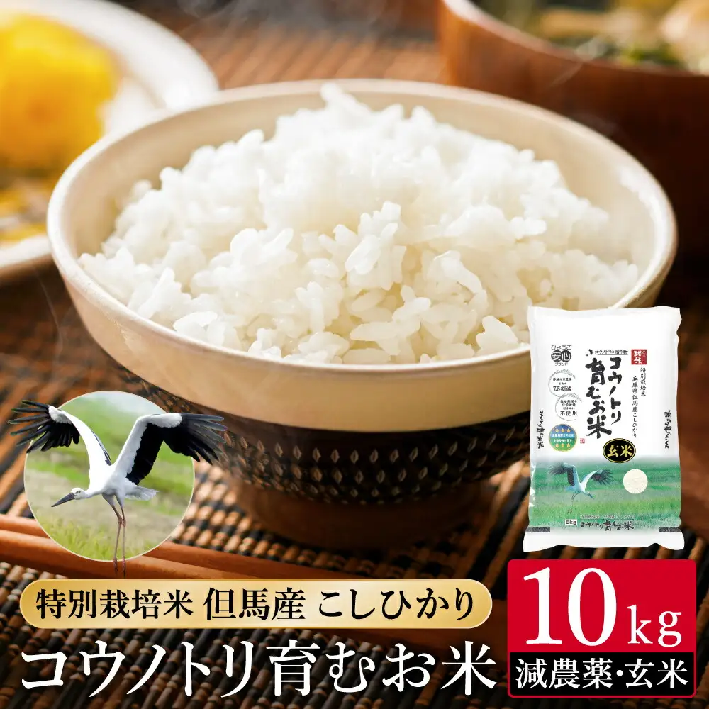 令和7年産 減農薬 玄米 特別栽培米 10kg コウノトリ育むお米 但馬産 こしひかり 兵庫県産(5kg×2袋) 減農薬 お米 10キロ 玄米 コウノトリ米 コシヒカリ コメ こめ ご飯 ライス 減農薬米