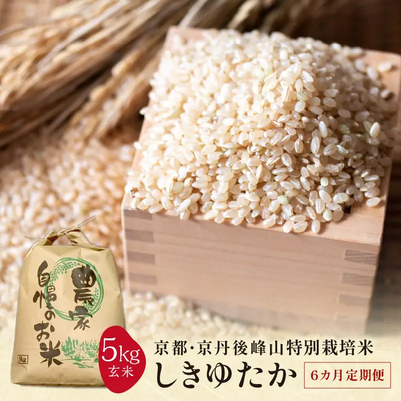 【6ヶ月定期便】2026年産 京都・京丹後峰山 特別栽培米しきゆたか 5kg 【玄米】米 定期便 玄米 しきゆたか