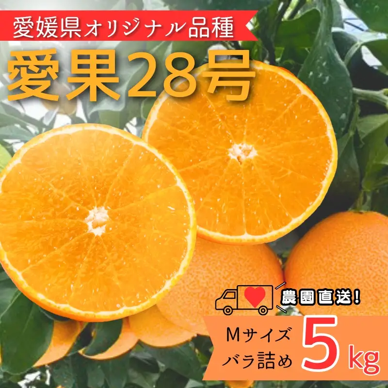 【2026年先行予約】 みかん 愛果28号 5kg Mサイズ バラ詰め 紅まどんなと同一品種 農園直送 【2026年11月中旬から順次発送予定】 愛媛 数量限定 愛媛県産 人気 柑橘 伊予市｜B512