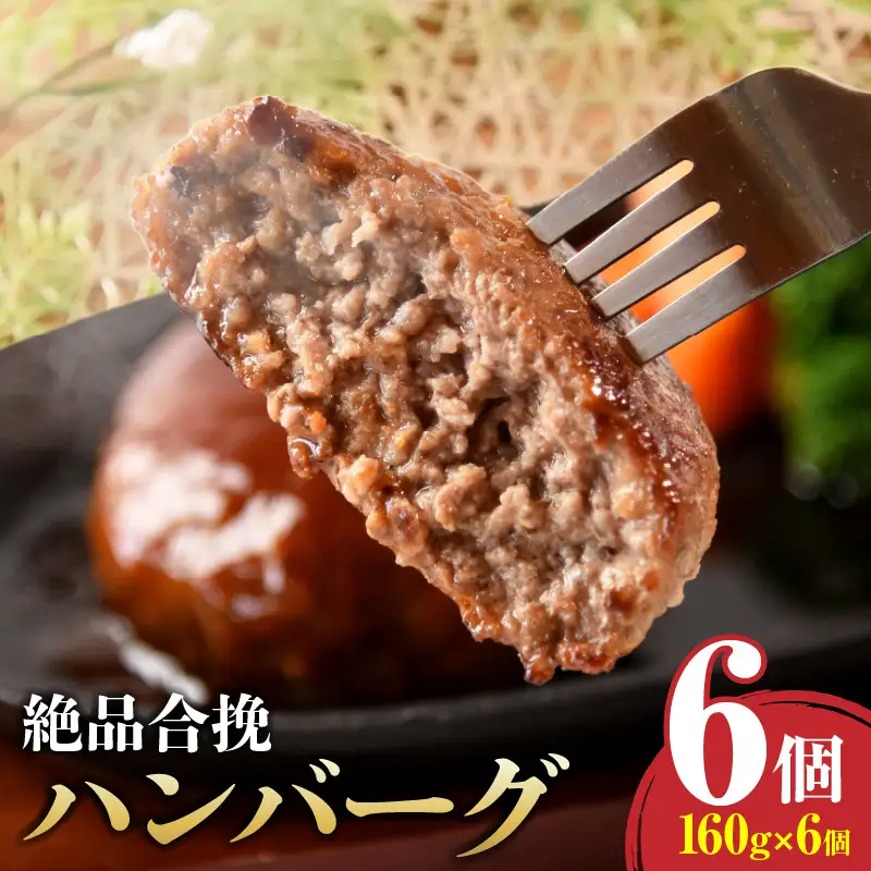 絶品合挽ハンバーグ 6個_kn113-001