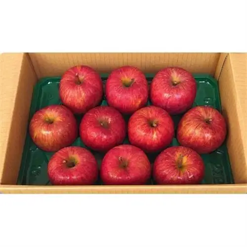 青森県産りんご 3kg(1箱※7～12個入り)【1672875】