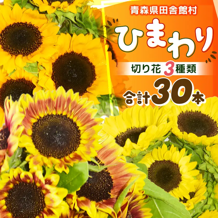 【2026年発送】ひまわり(切り花3種類)合計30本【配送不可地域：離島】【1677537】