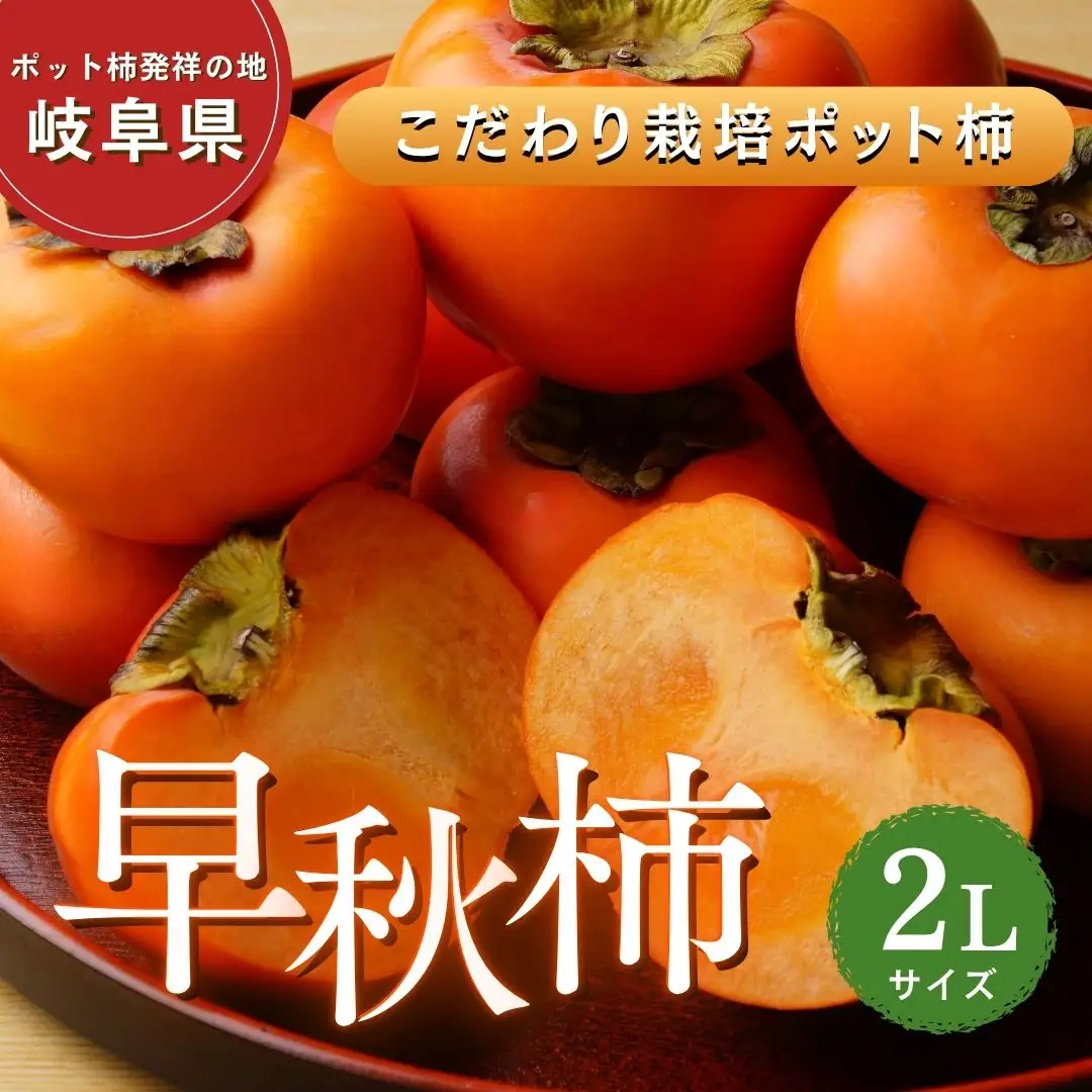 【先行予約】こだわり栽培ポット柿（早秋柿） 2Lサイズ12個入り ※離島への配送不可  ※2026年10月中旬～11月上旬頃に順次発送予定