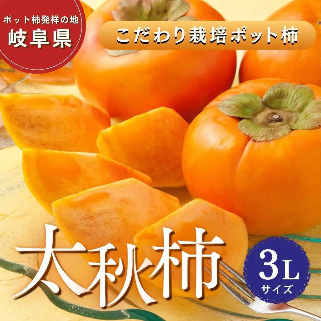【先行予約】こだわり栽培ポット柿（太秋柿） 3Lサイズ9個入り ※離島への配送不可  ※2026年10月中旬～11月上旬頃に順次発送予定