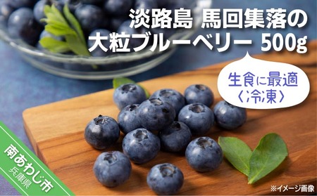 【生食に最適／冷凍】淡路島　馬回集落の大粒ブルーベリー 500g