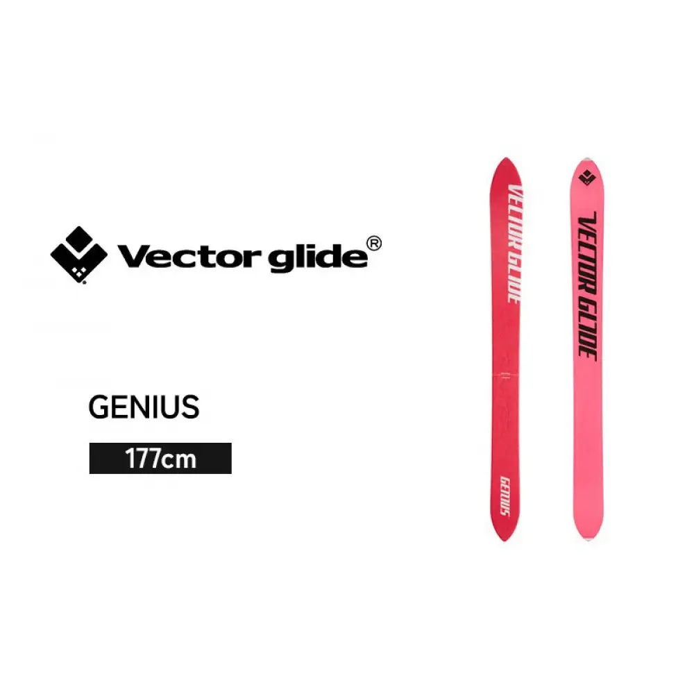 【VECTOR GLIDE】スキー板 GENIUS 177cm | スキー板 ノーマルキャンバー パウダースノー ワイドシェイプ